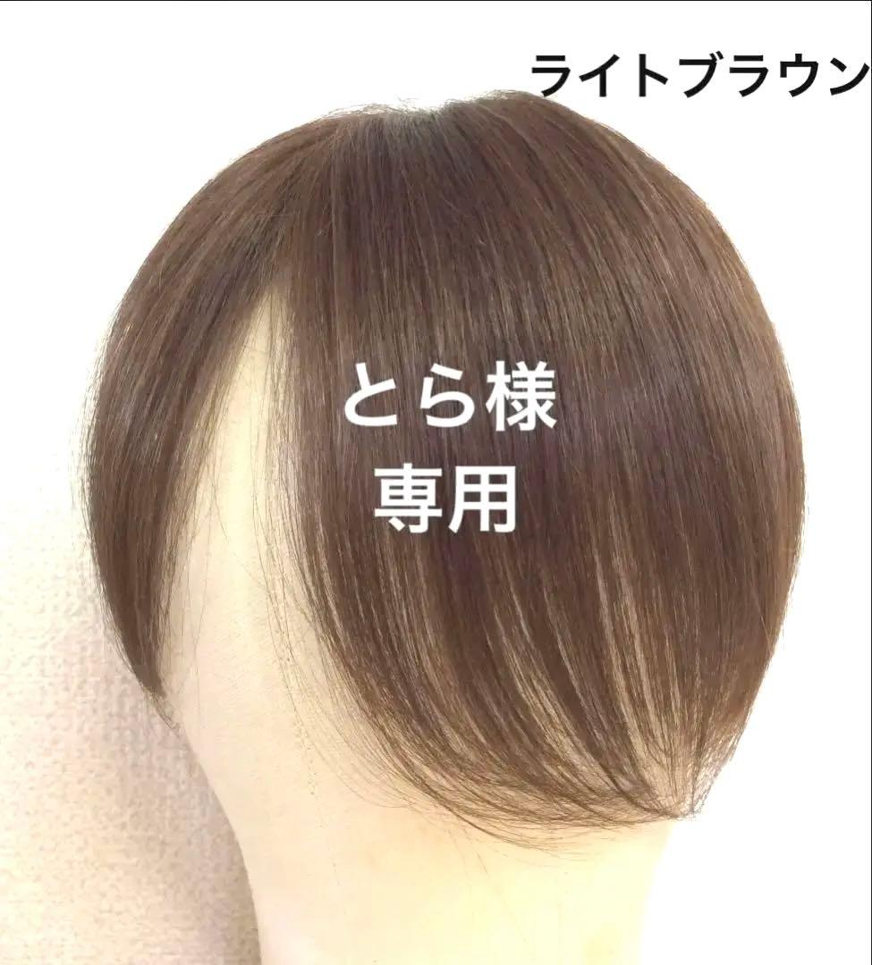 【とら】ライトブラウン２点