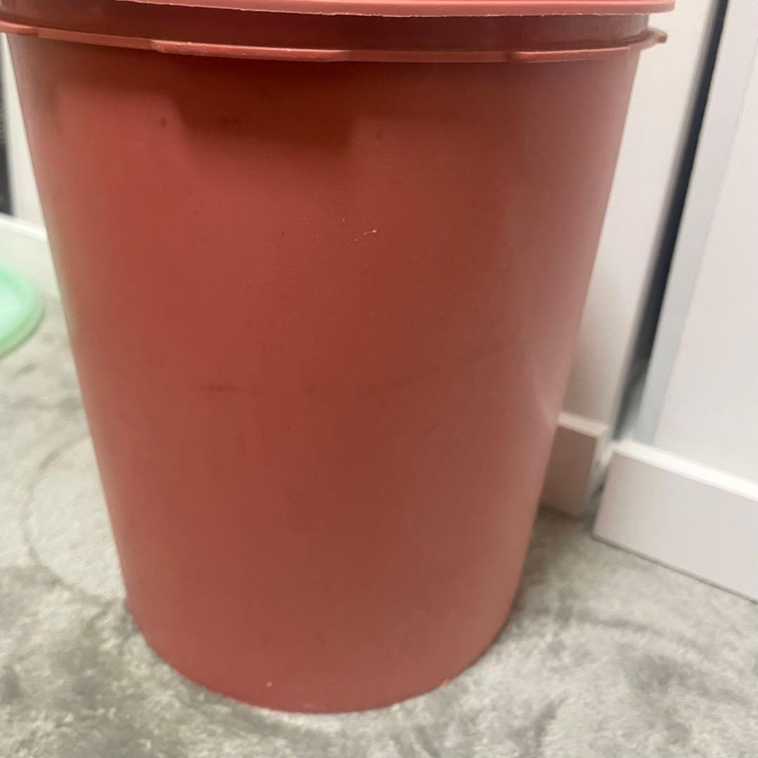 【出品今日まで】タッパーウェア マキシデコレーター 4個セット