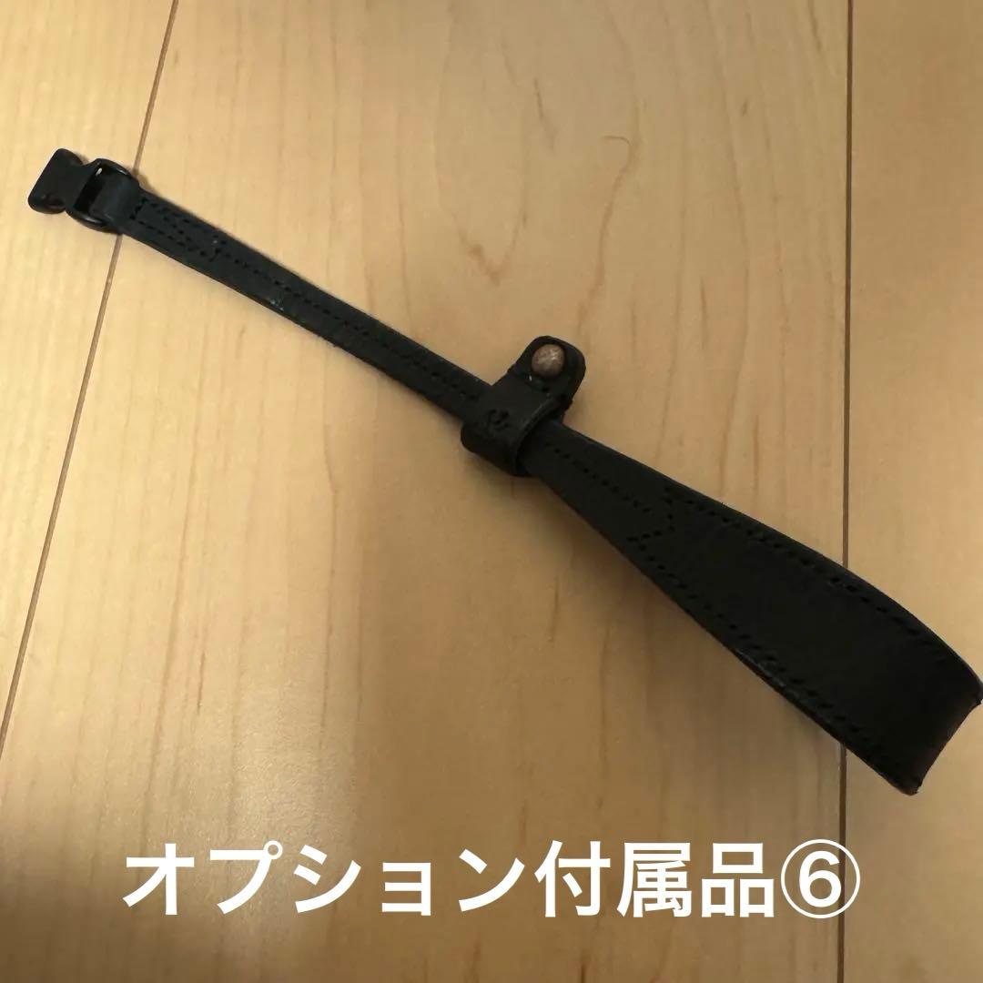 【美品】RICOH GR Ⅳ 撮影1,000枚　※オプション付属品追加可能