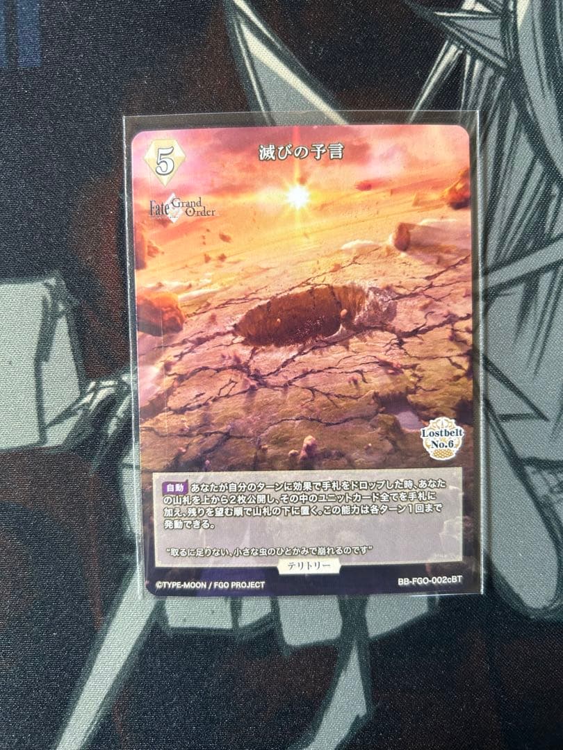 ビルディバイドブライトFGO マシュ　テリトリー　サイン