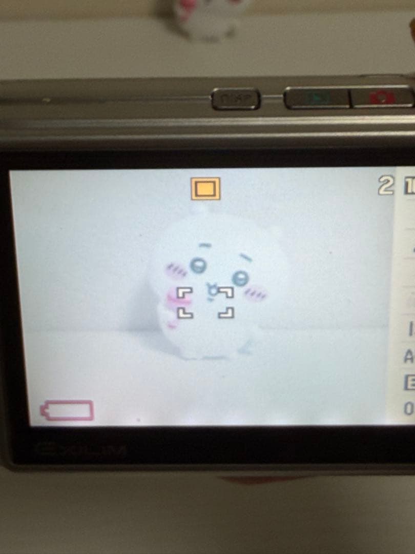 CASIO EXILIM EX-Z1000 コンパクト デジタルカメラ シルバー