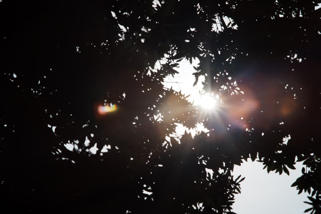 【希少】ミノルタ AUTO TELE ROKKOR-PF 100mm F2 80