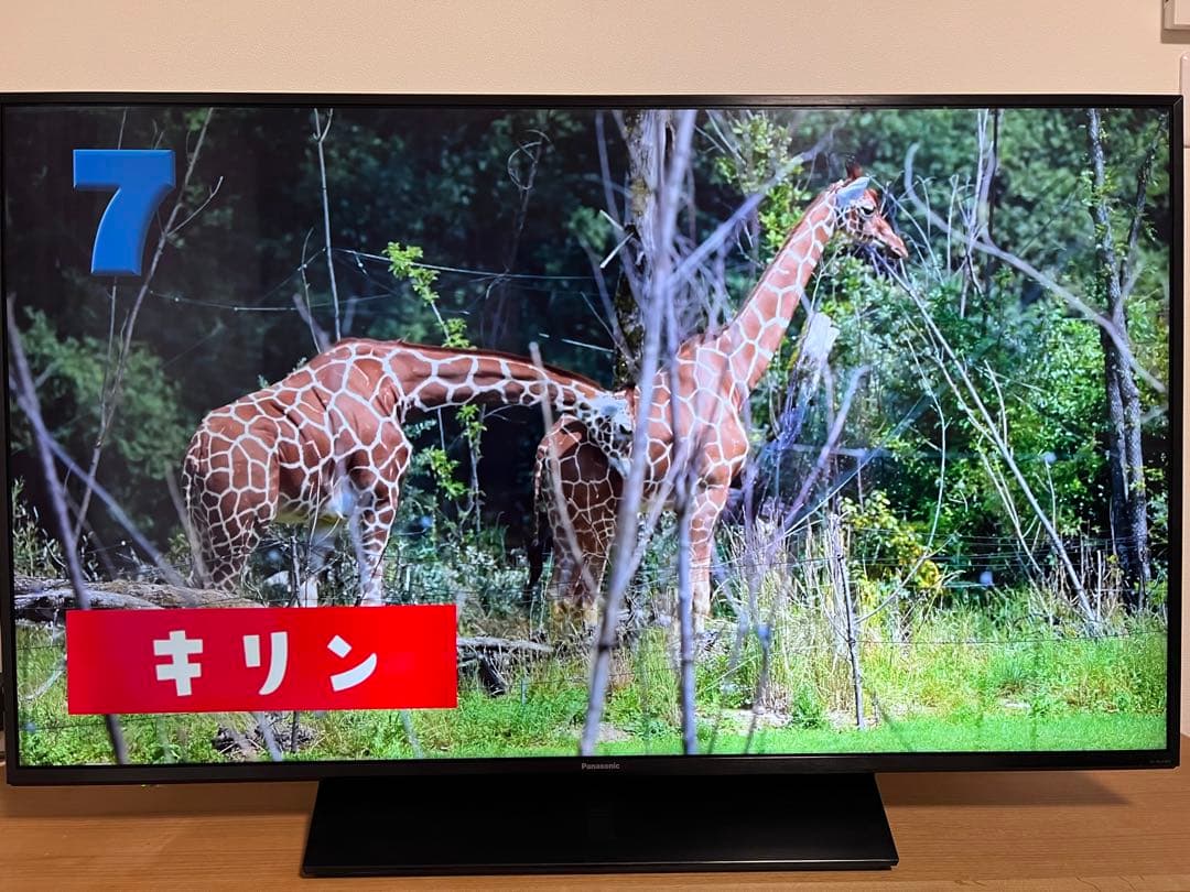 4K液晶テレビ49V型 【Panasonic】