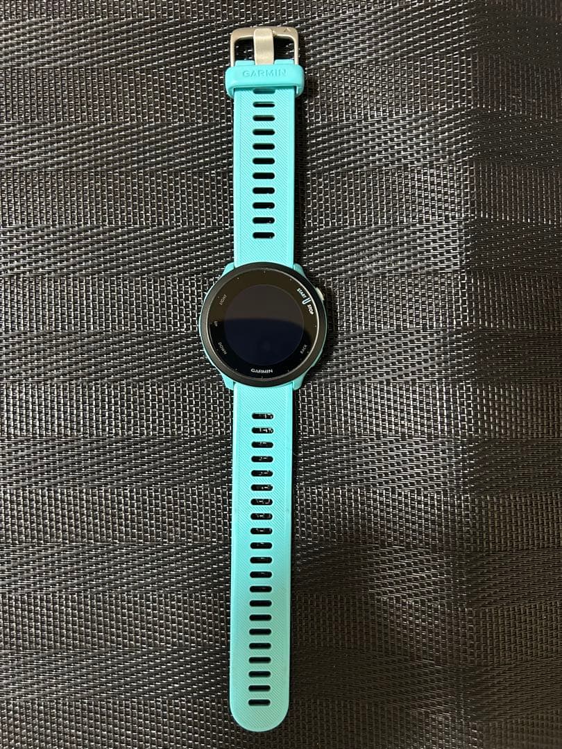 GARMINフォアアスリート55 アクア