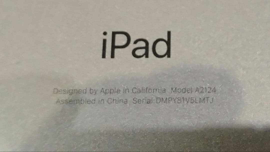 【美品】256GB ipadmini 第5世代 WiFi+cellular