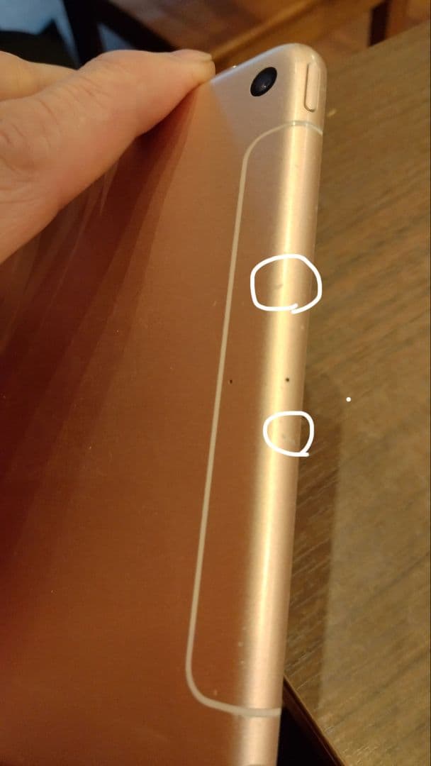 【美品】256GB ipadmini 第5世代 WiFi+cellular