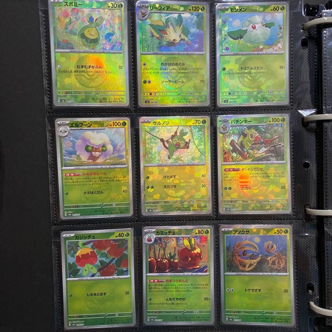 テラスタルフェス　モンボ144種類コンプセット