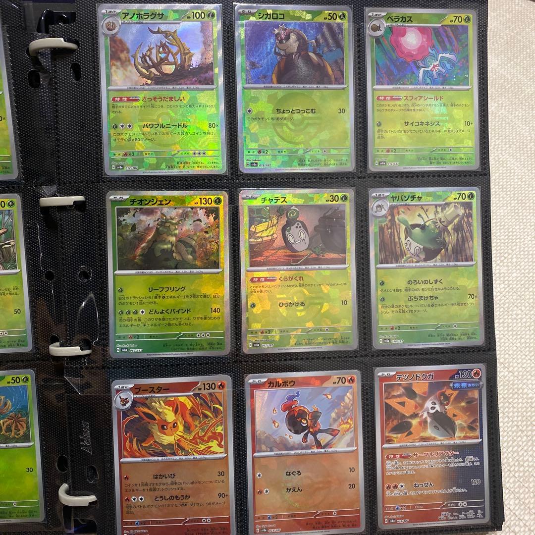 テラスタルフェス　モンボ144種類コンプセット