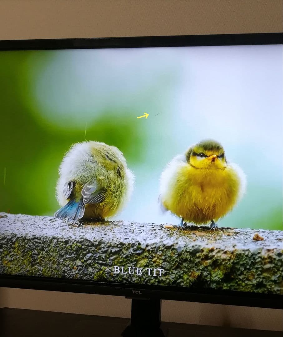 【Android TV／すぐ視聴セット】2022年製　 32型液晶テレビ