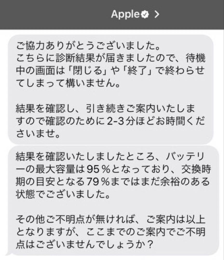 iPad 第6世代 Wi-Fi + Cellular シルバー バッテリー95%