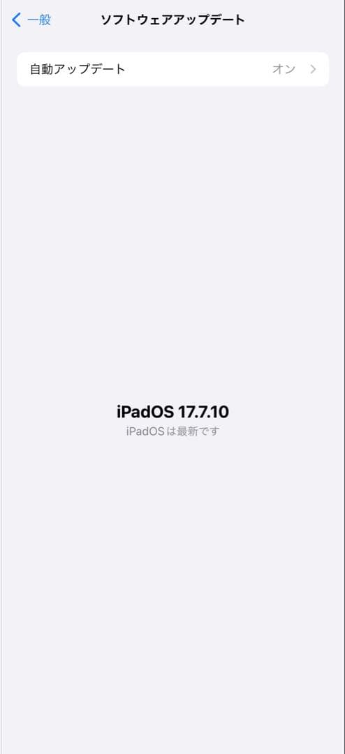 iPad 第6世代 Wi-Fi + Cellular シルバー バッテリー95%
