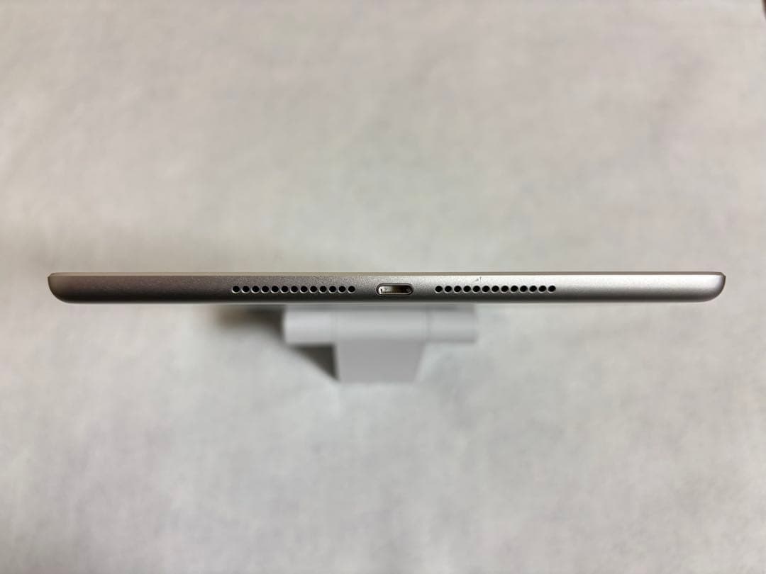 iPad 第6世代 Wi-Fi + Cellular シルバー バッテリー95%