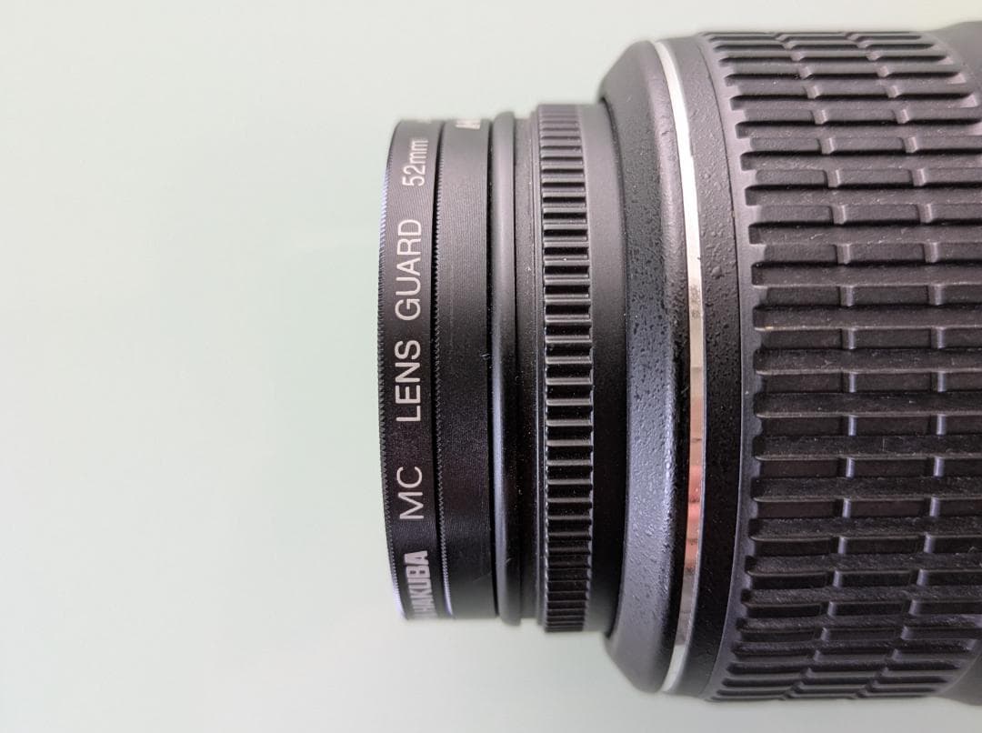 Nikon D60 　ダブルズーム（ボディはバッタ相応価格+レンズ2本の価格）