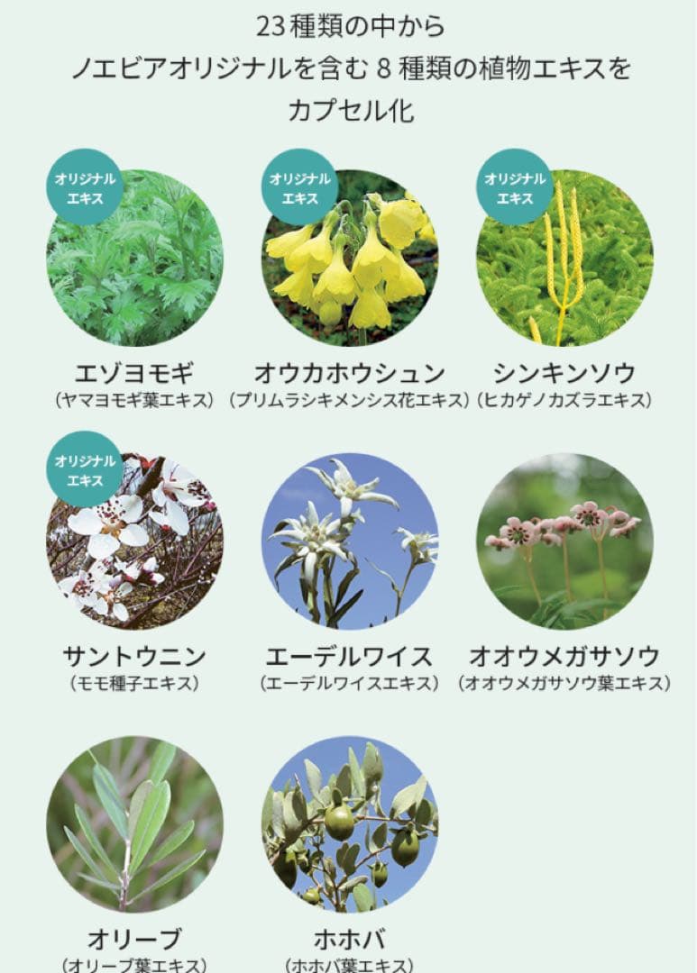 NOEVIR 99+ 化粧水、乳液，クリームセット