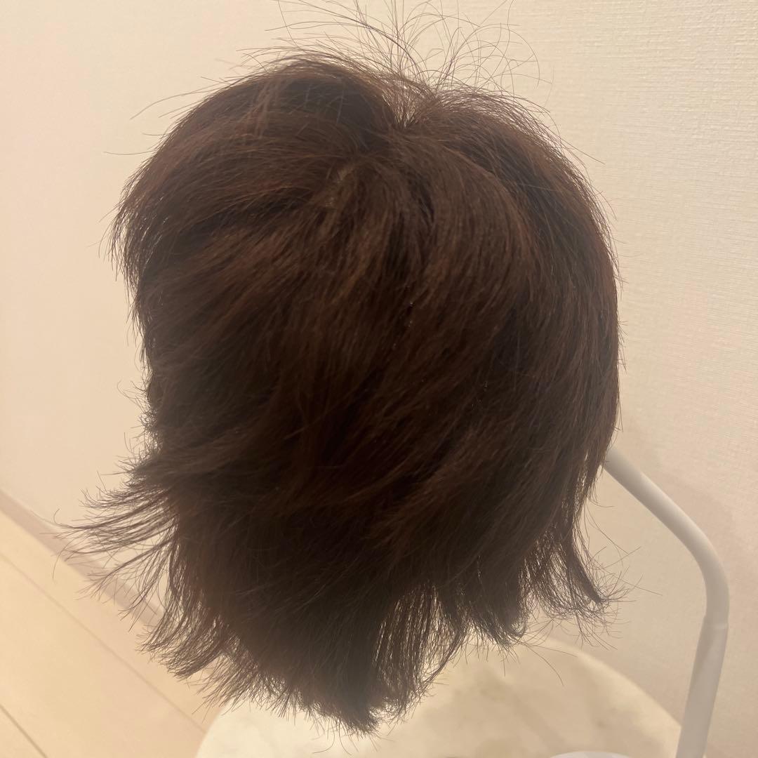 新品未使用　人毛100% ショートウィッグ