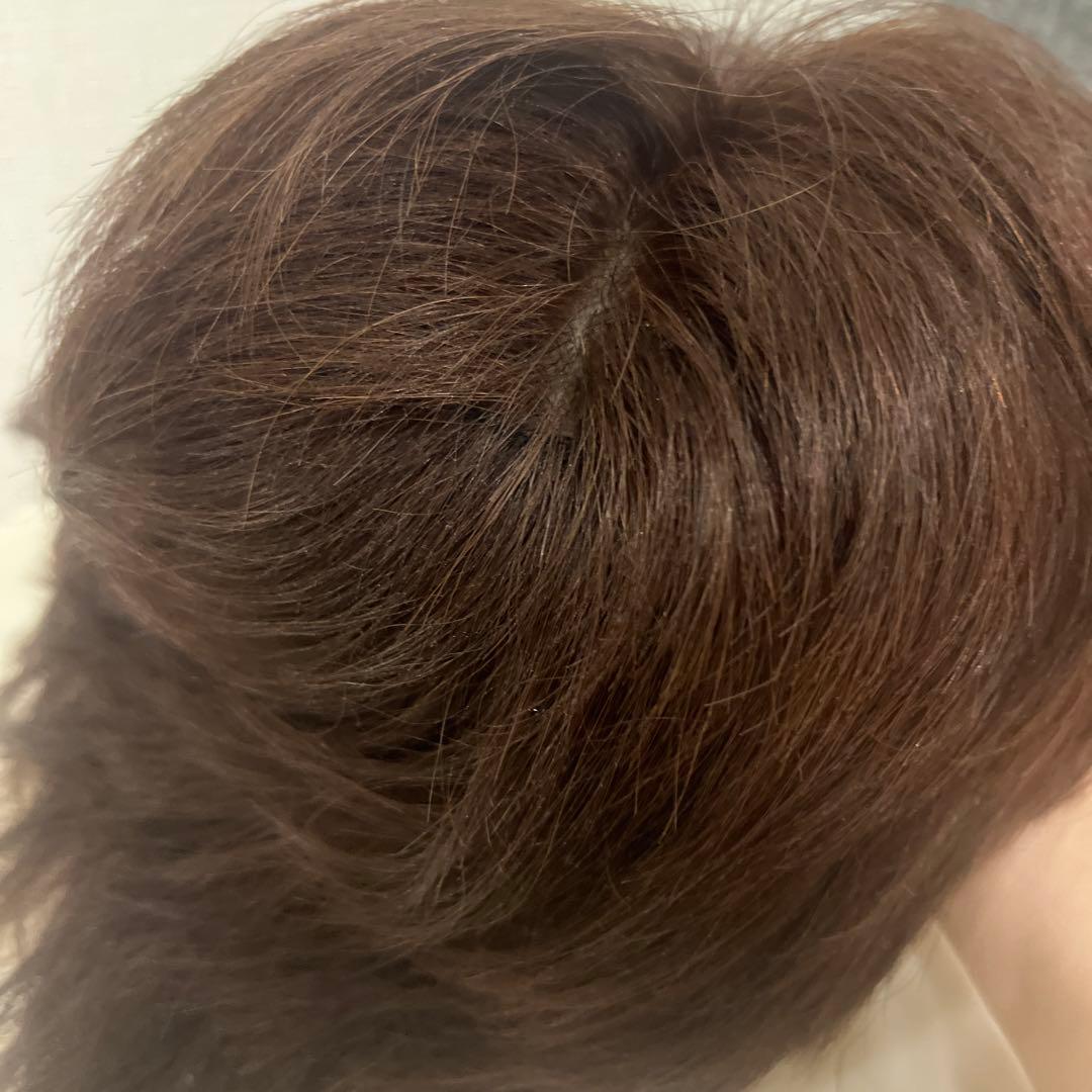 新品未使用　人毛100% ショートウィッグ