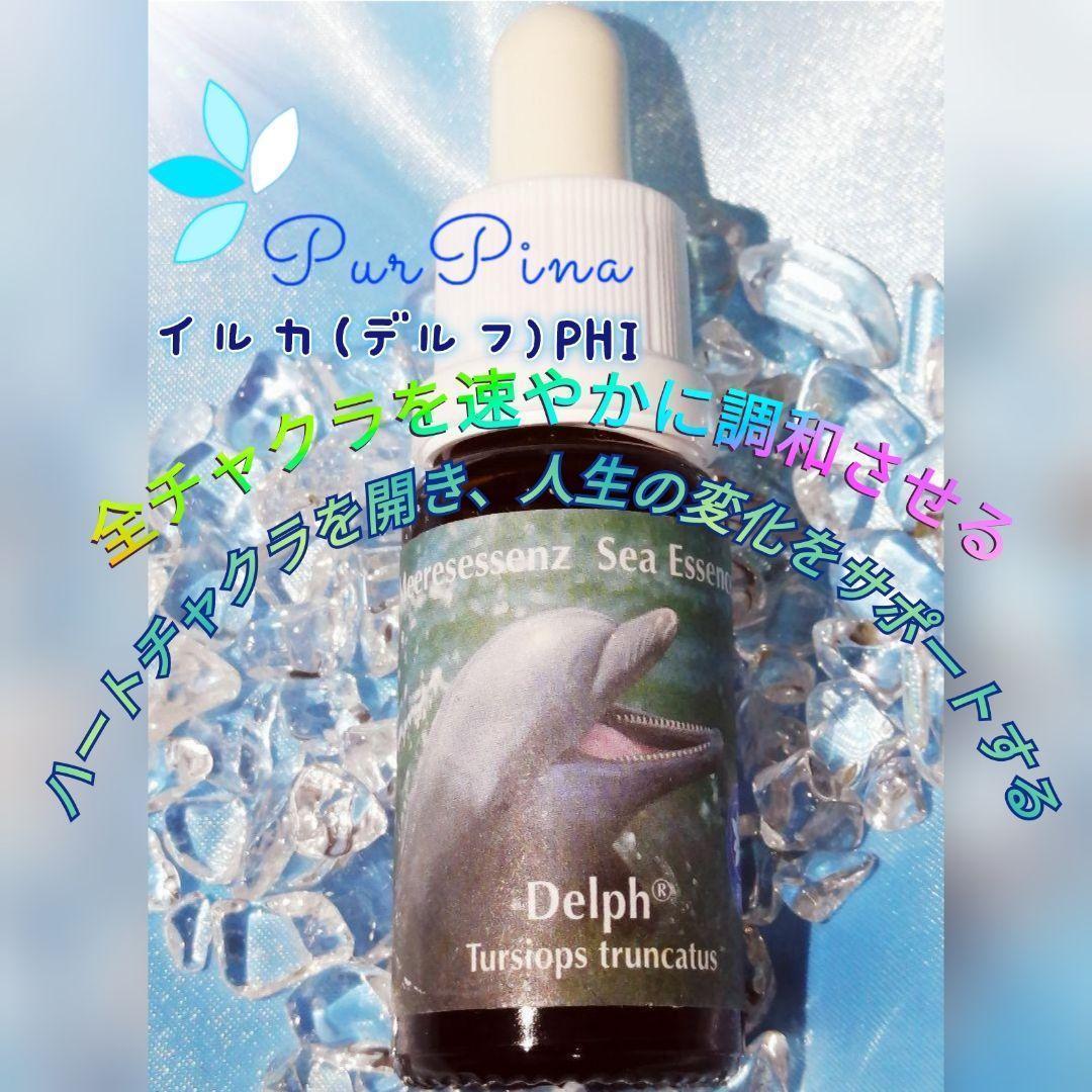 【専用】イルカ(デルフ)のペンダントとフラワーエッセンス　コルテPHI