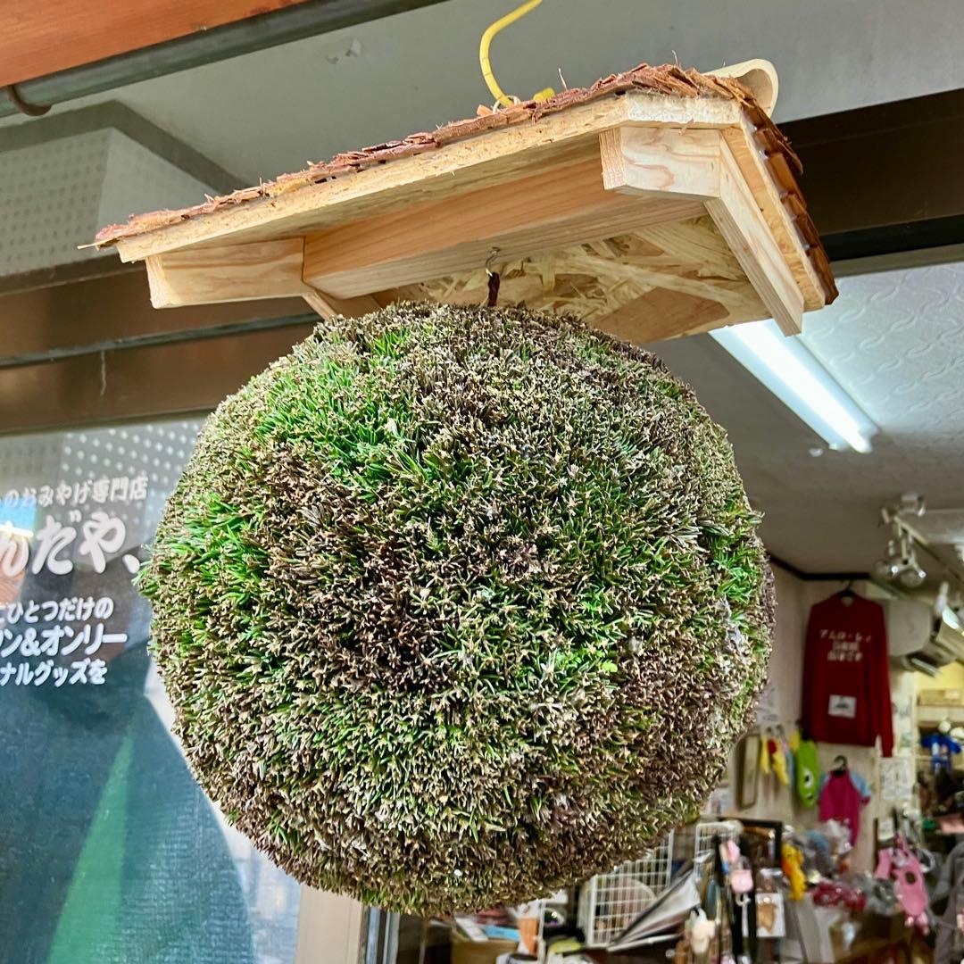 杉玉【屋根付き】②