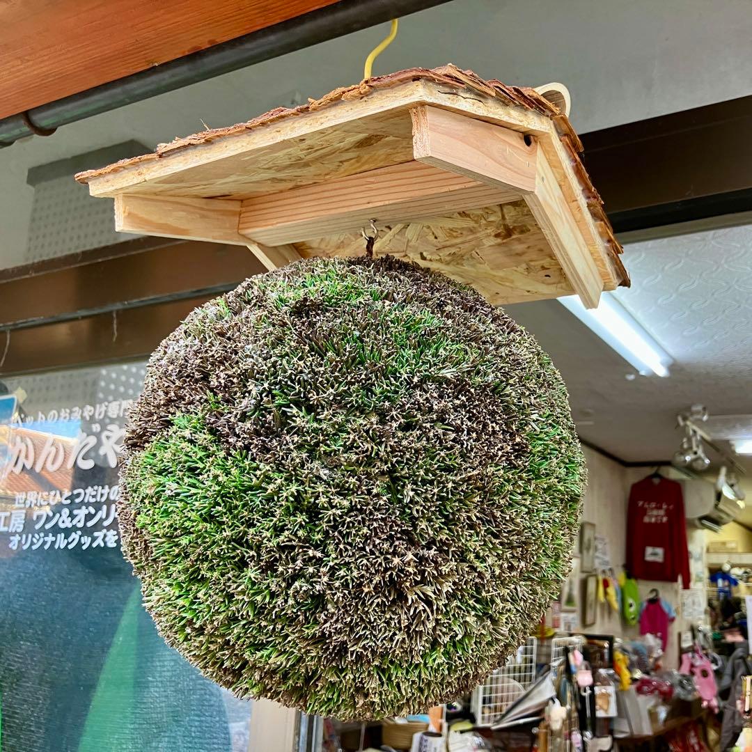 杉玉【屋根付き】②