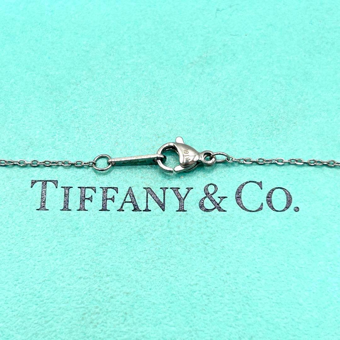 美品　ティファニー　オーバルキー　ラージ　ネックレス　シルバー　社外チェーン