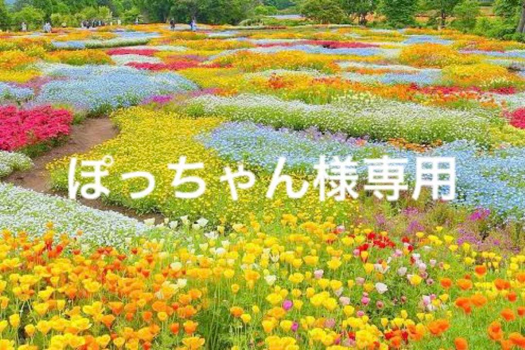 【ぽっちゃん】Medi Lift メディリフト ネックEPN10B3