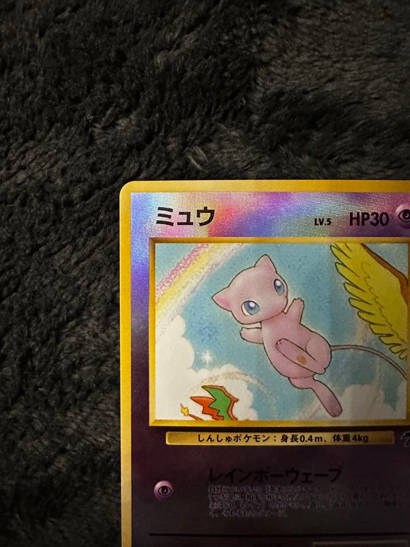 ミュウ 映画公開記念パック サザンアイランド