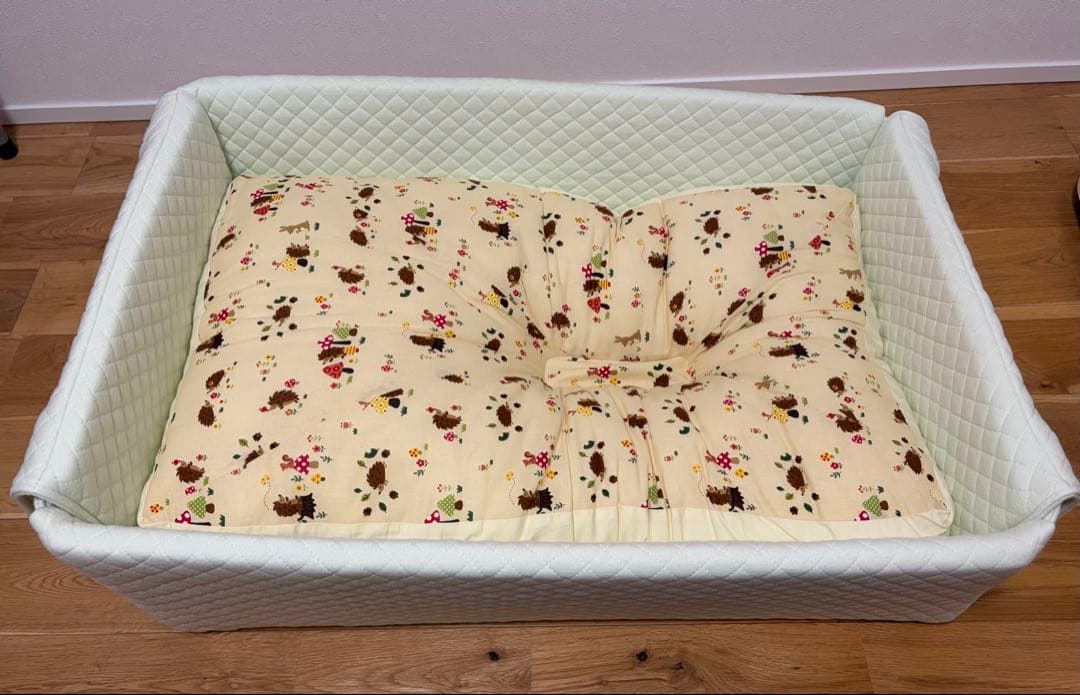 天使の寝床　トコちゃん