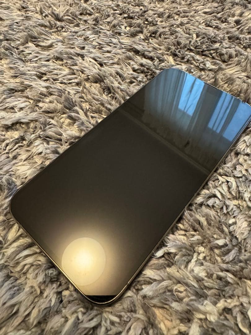 おおゆき iPhone 13 Pro Max 256GB グラファイト