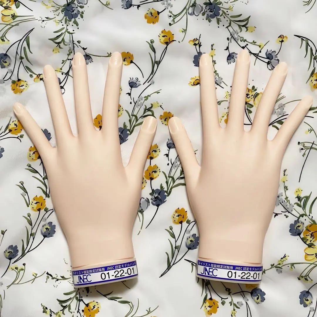STモデルハンド ネイリスト技能検定試験用 JNEC認定モデルハンド