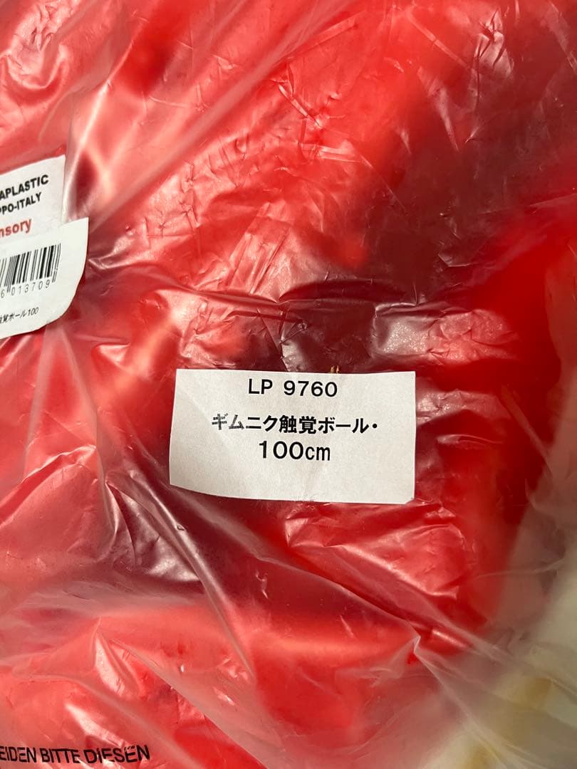 ギムニク触覚ボール 100cm