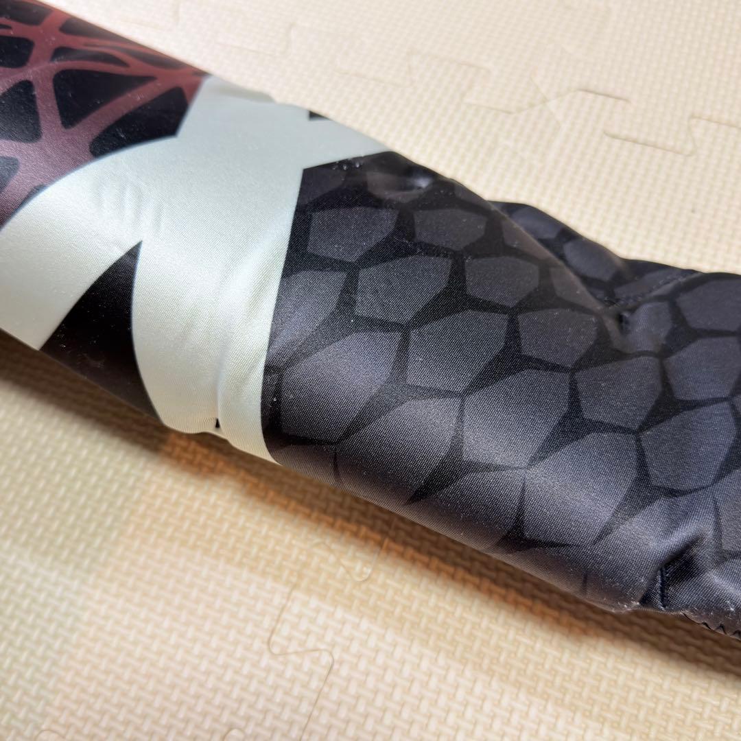 フェニックス Phenix アルペンスキー 競技用 ワンピース Lサイズ メンズ