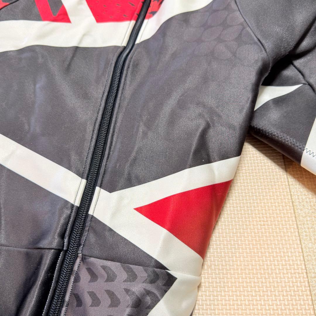 フェニックス Phenix アルペンスキー 競技用 ワンピース Lサイズ メンズ