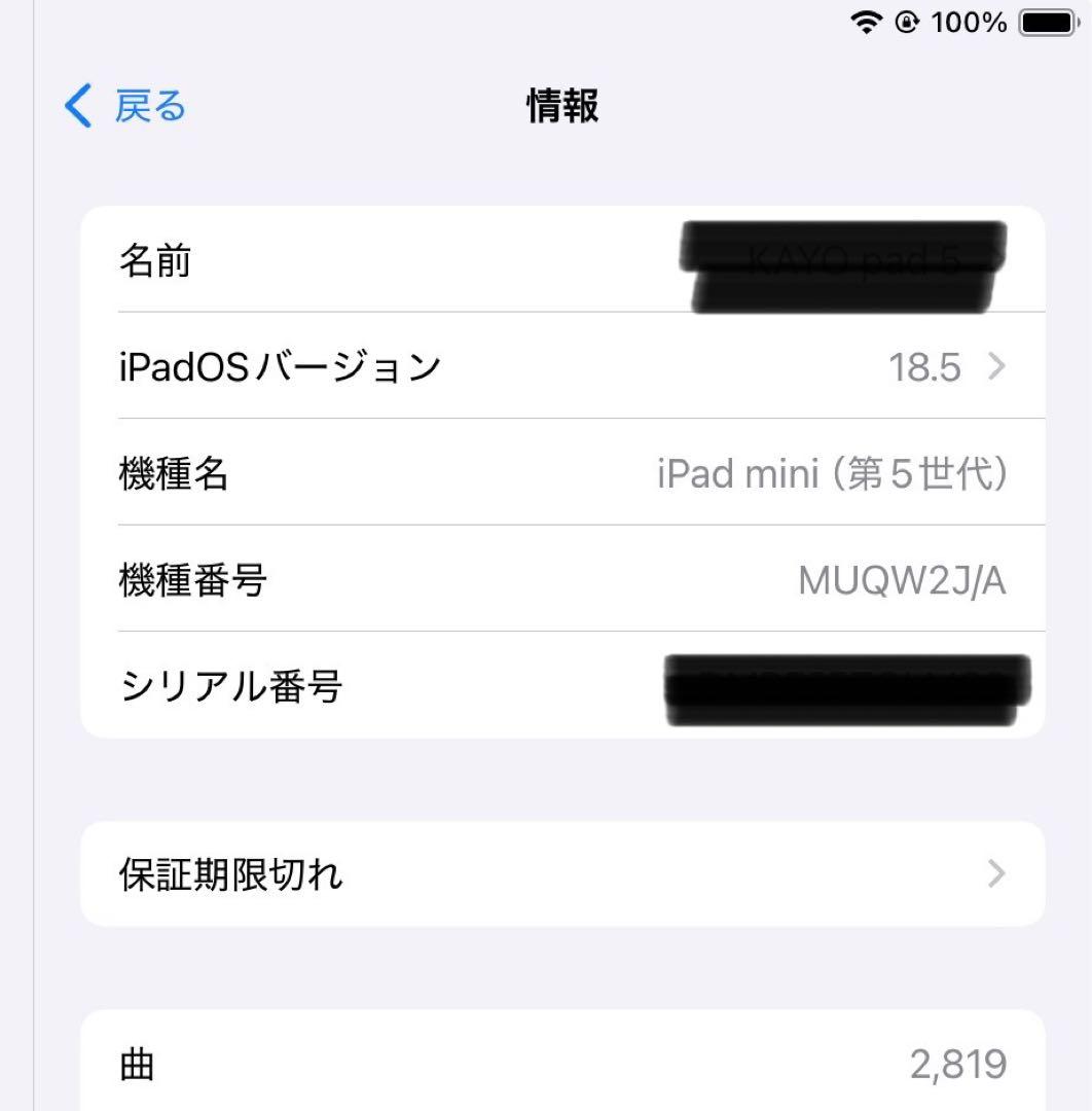 iPad mini（第５世代）64GB スペースグレイ Wi-Fiモデル