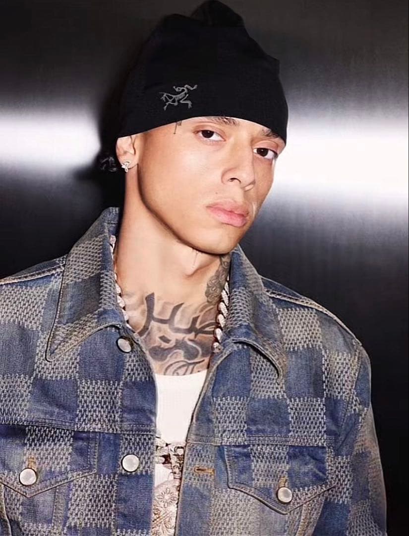 国内正規品 ARC'TERYX