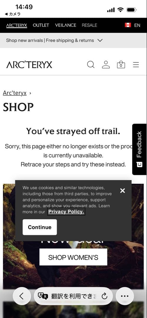 国内正規品 ARC'TERYX