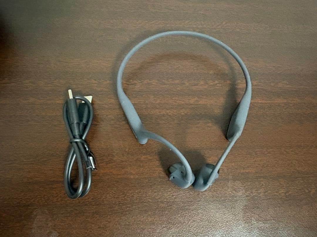 オープンラン プロ2 OPENRUN PRO 2 mini 骨伝導イヤホン