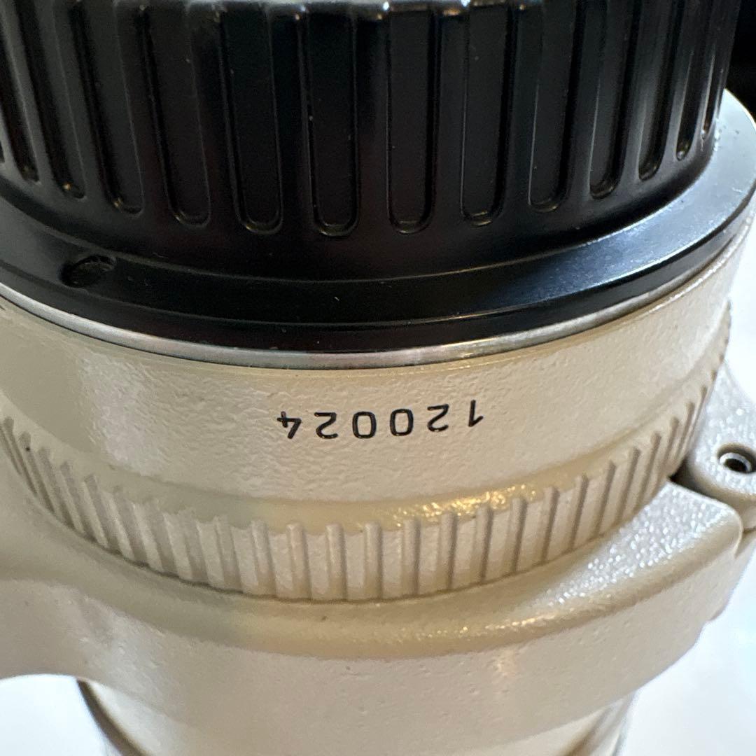 Canon EF 300mm 1:4 L ウルトラソニック