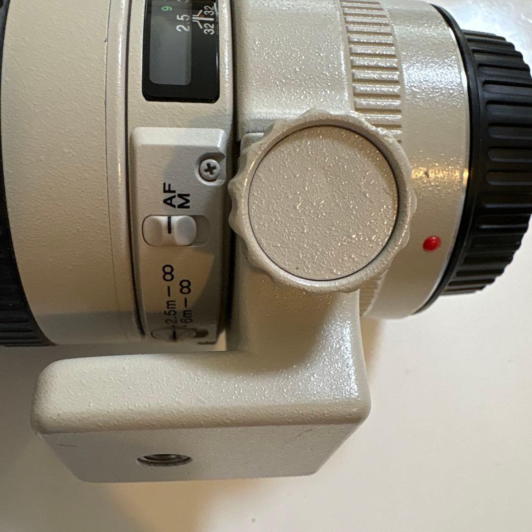 Canon EF 300mm 1:4 L ウルトラソニック