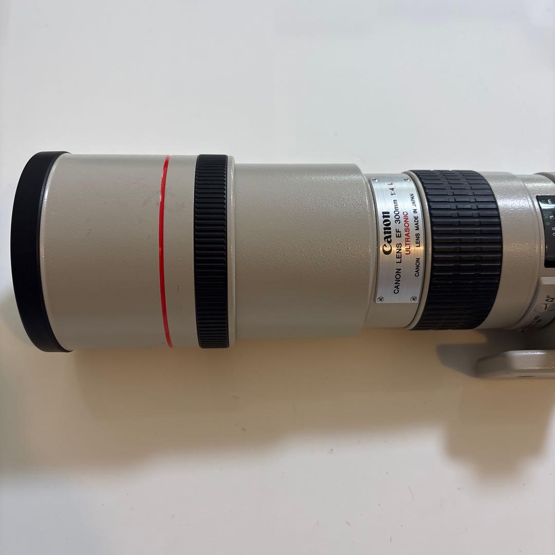 Canon EF 300mm 1:4 L ウルトラソニック