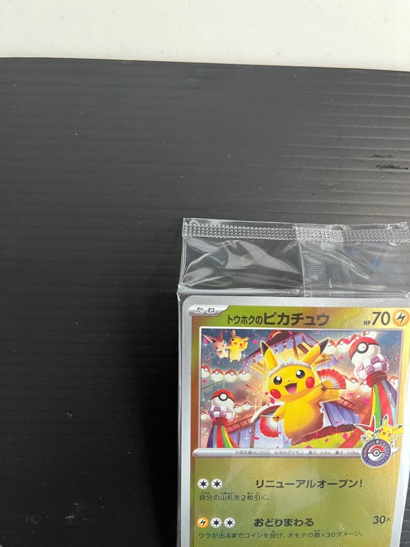 d*2様 トウホクのピカチュウ