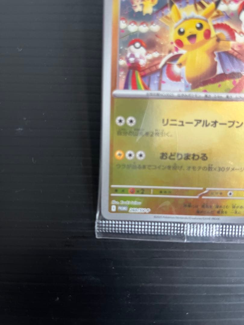 d*2様 トウホクのピカチュウ