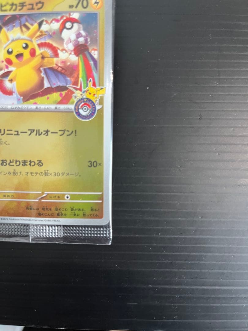 d*2様 トウホクのピカチュウ