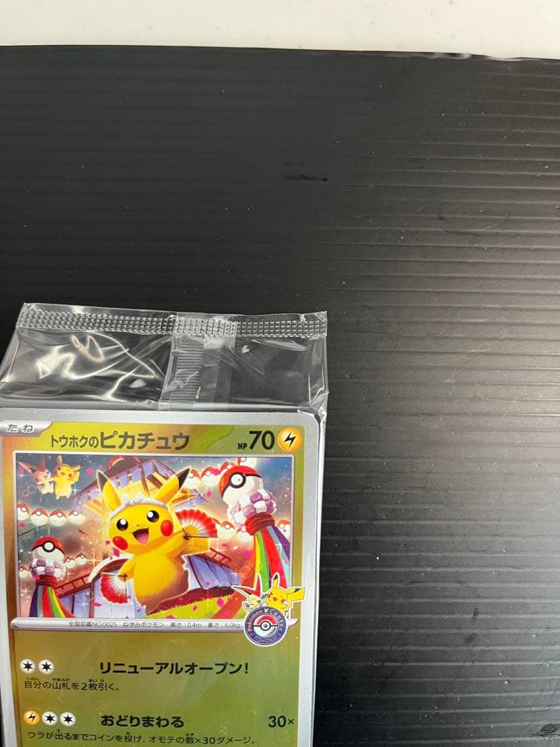d*2様 トウホクのピカチュウ