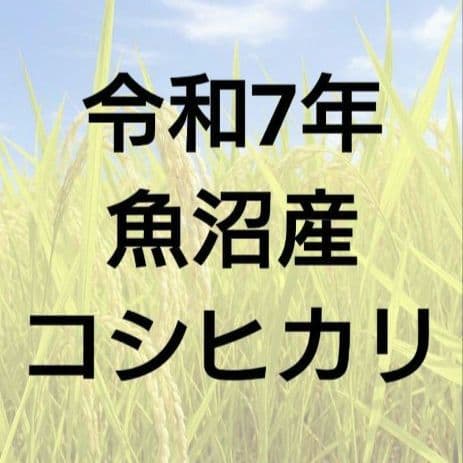 【南魚沼市】令和7年度 魚沼産コシヒカリ 精米 約10kg