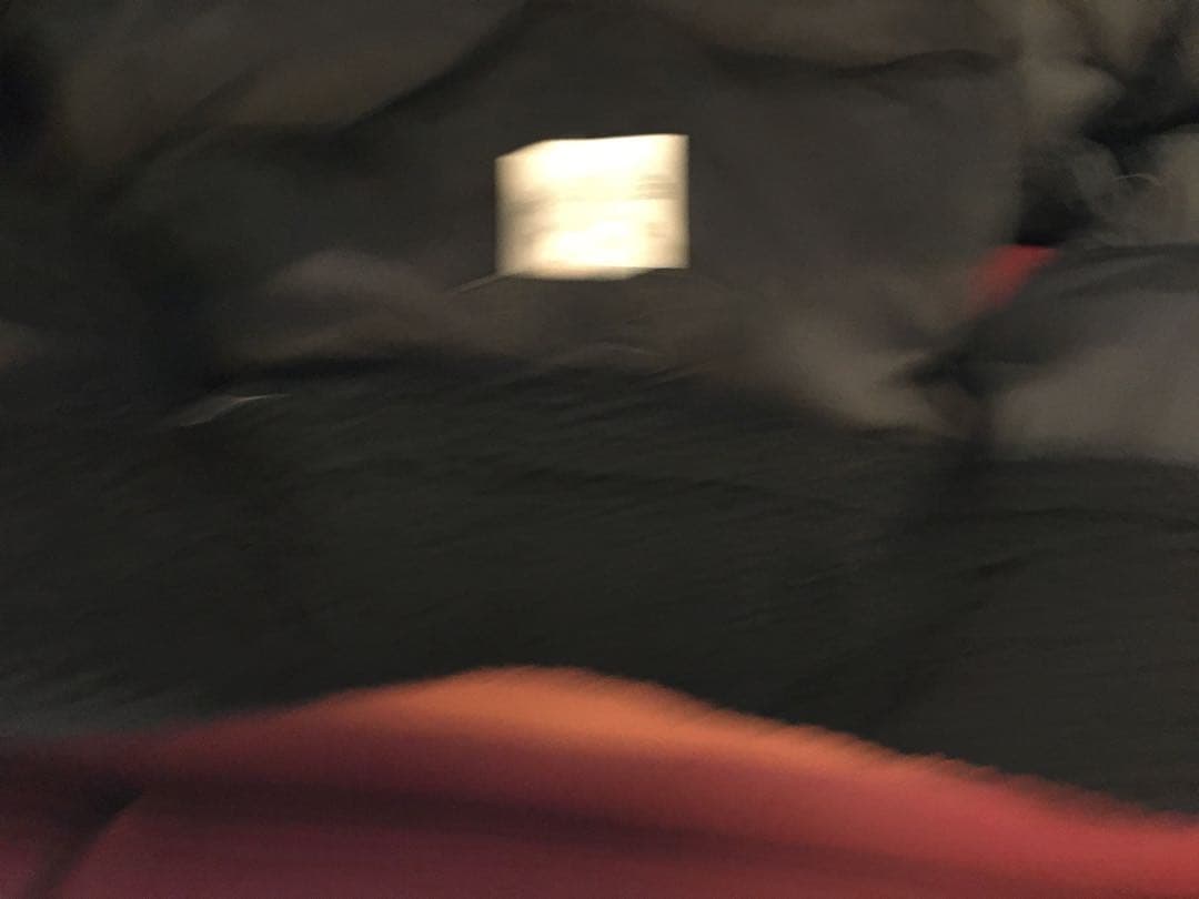 rockymountainfeatherbed ×ハリスツイード　ダウンベスト