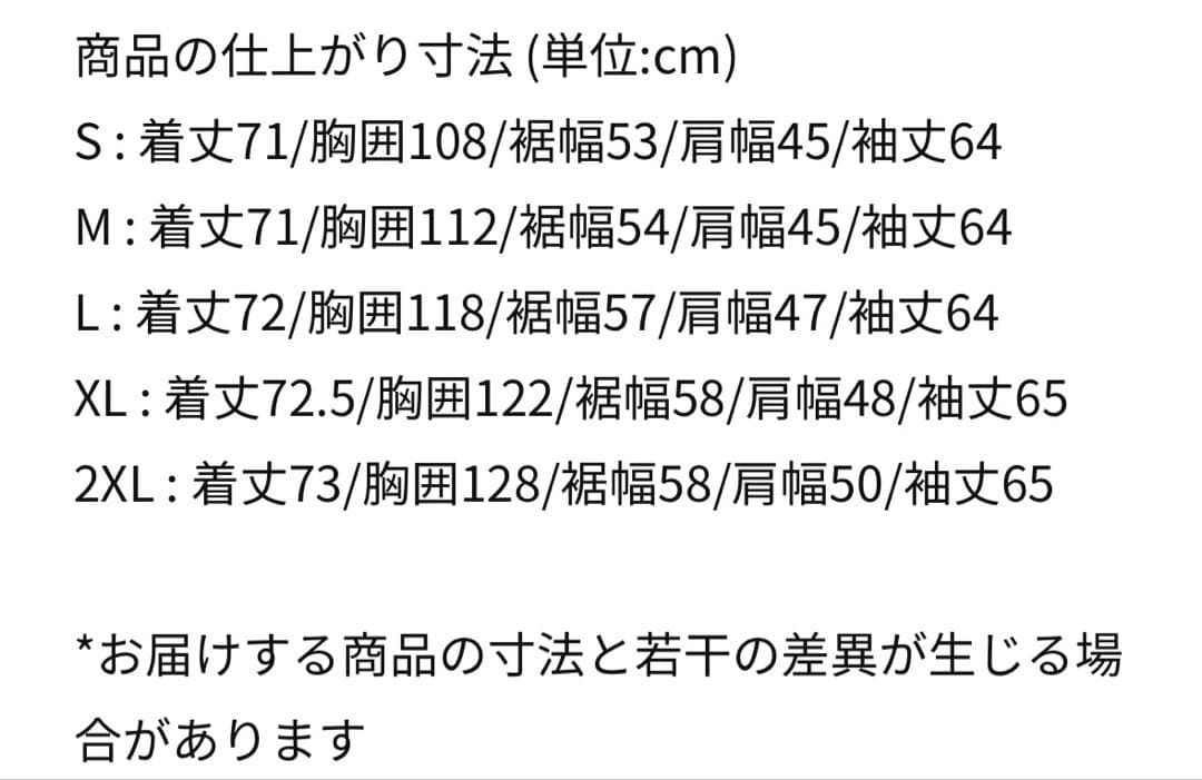 Nike STORM-FIT ブラック ダウンジャケット Lサイズ