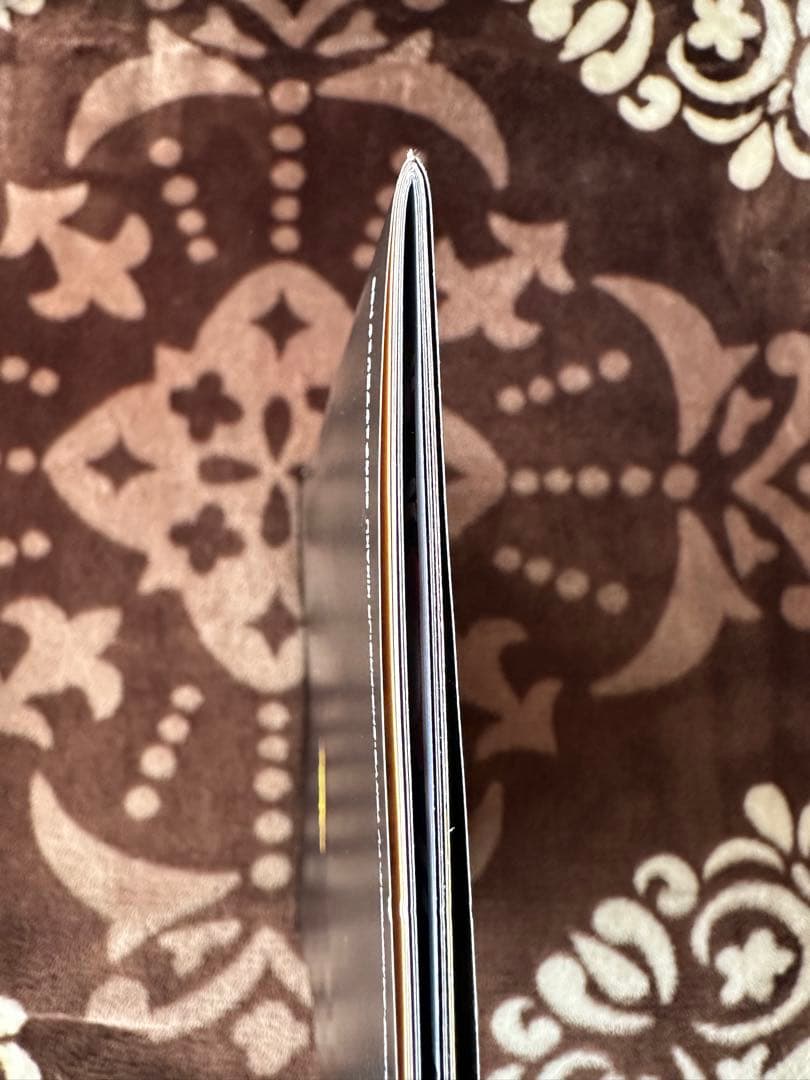 劇場版ポケットモンスター 幻のポケモン ルギア爆誕 カード付きパンフレット