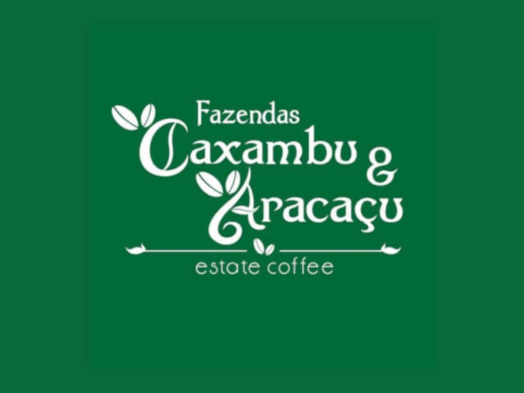 【コーヒー生豆】【未開封】ブラジル　カッシャンブー　イエローカトゥアイ　5kg