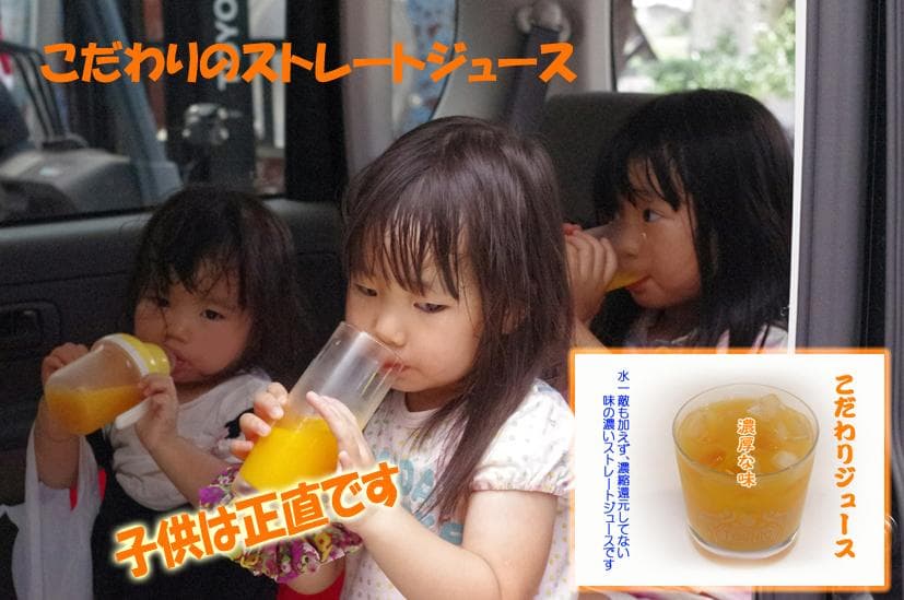 【ティアレ】6種類✕500ml 12本×２箱　　【２箱縛りでの発送】