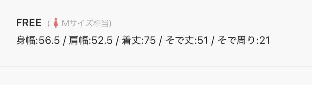 LE DENIM BDUデニムシャツ　美品